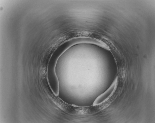 X0000086900564200704231156