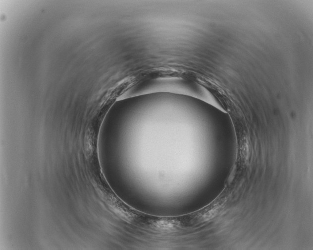 X0000086900566200704231156