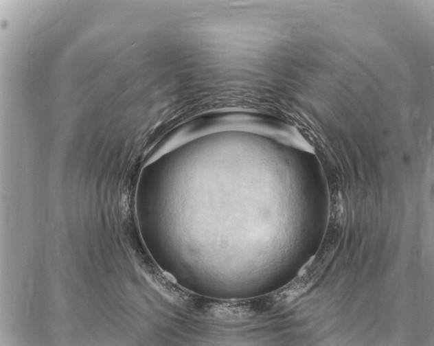 X0000086900568200704231156