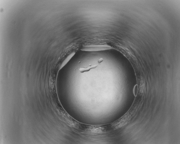 X0000086900569200704231156