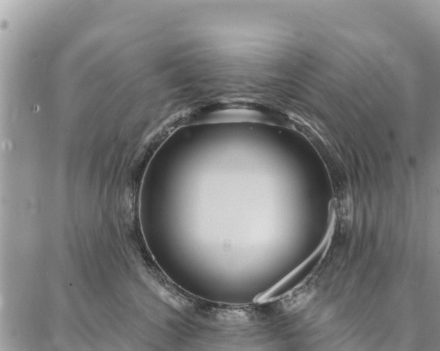 X0000086900572200704231156