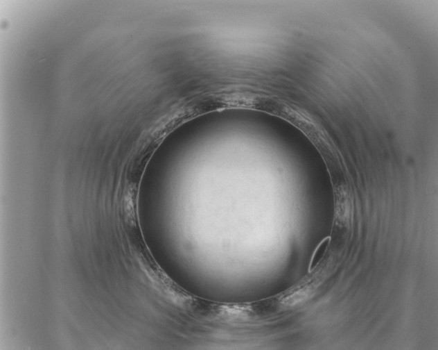 X0000086900573200704231156