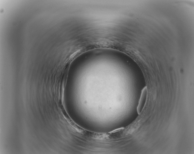 X0000086900576200704231156