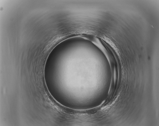 X0000086900577200704231155