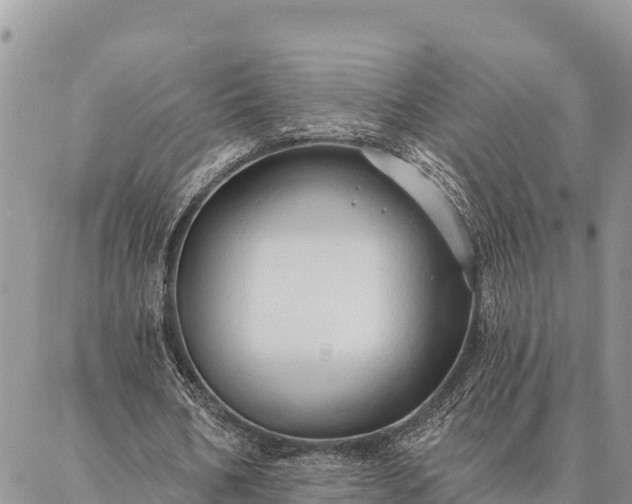 X0000086900578200704231155