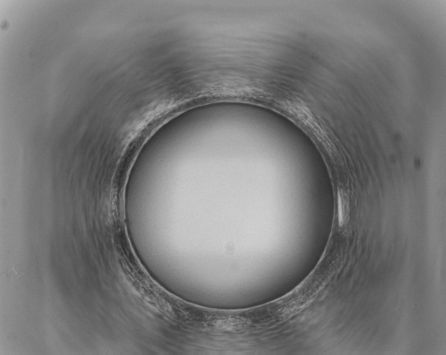 X0000086900579200704231155