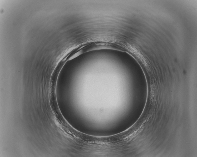 X0000086900580200704231155