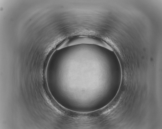 X0000086900581200704231155