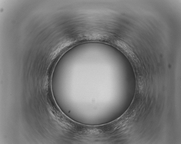 X0000086900583200704231155