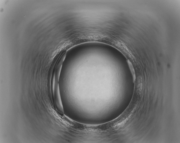 X0000086900585200704231155