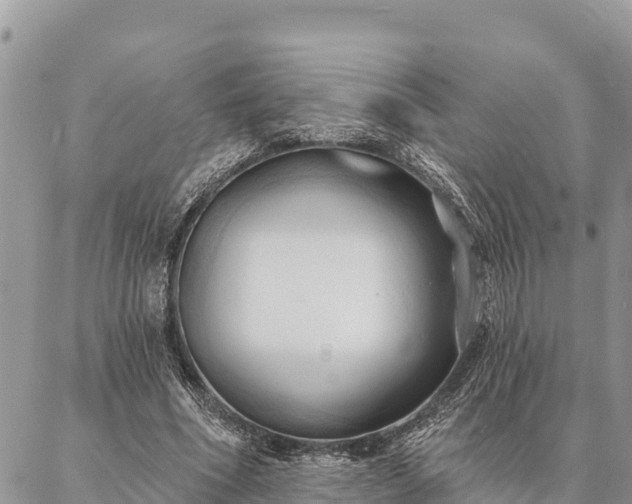 X0000086900586200704231155