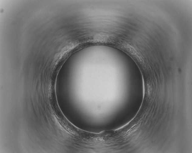 X0000086900588200704231155