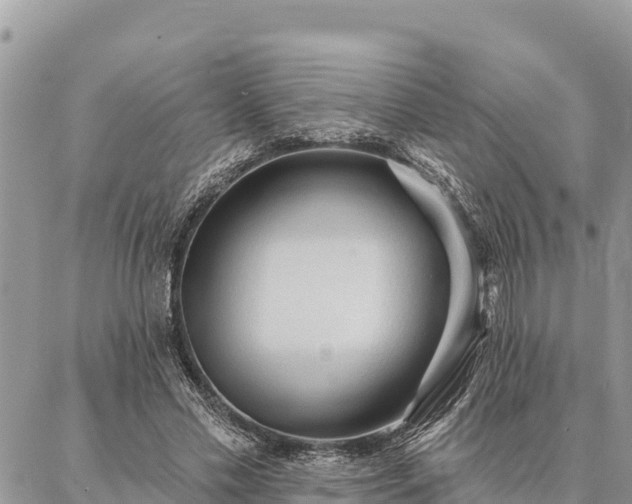 X0000086900589200704231155