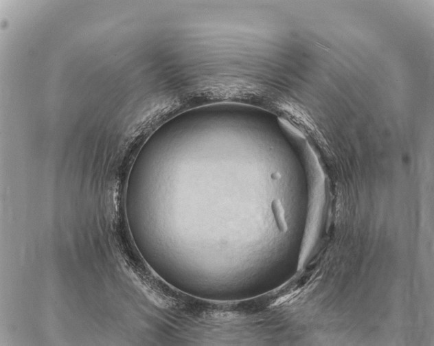 X0000086900590200704231155