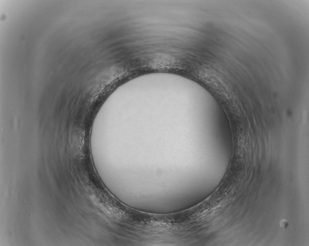 X0000086900592200704231155