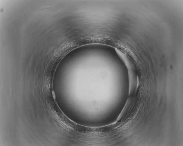 X0000086900593200704231155