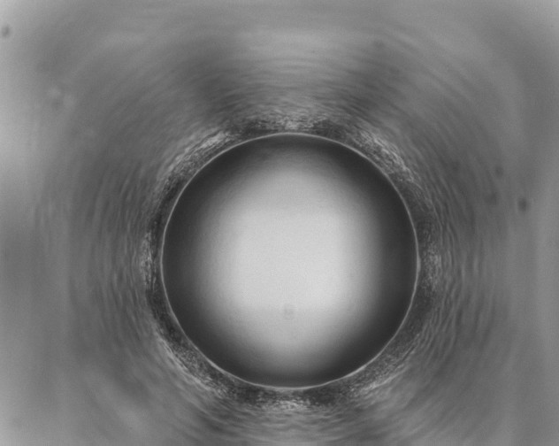 X0000086900594200704231155