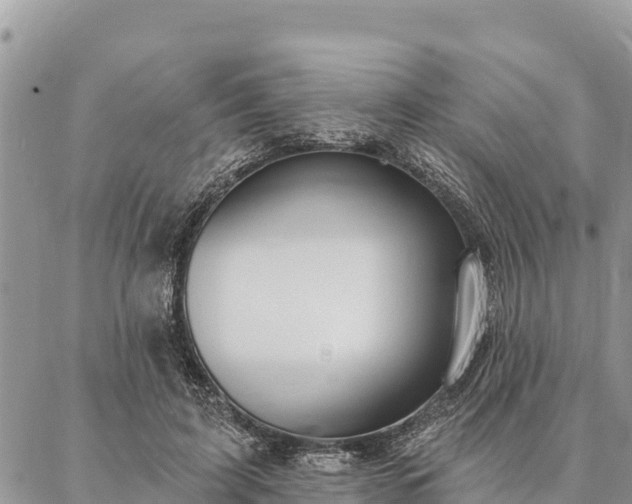 X0000086900595200704231155