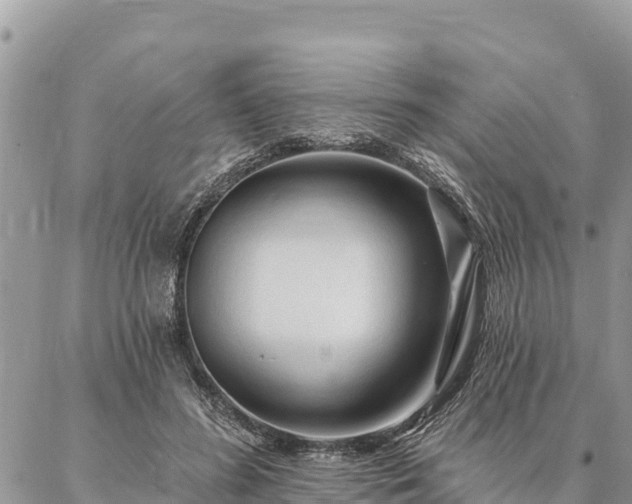 X0000086900596200704231155