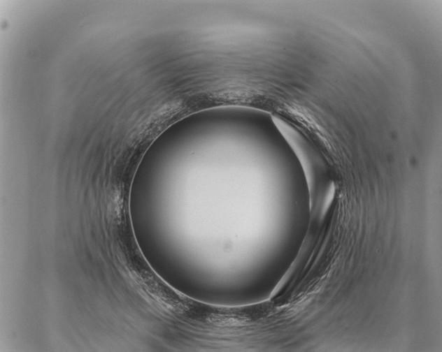 X0000086900597200704231155