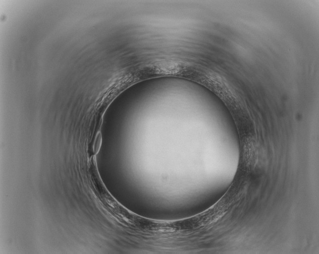 X0000086900598200704231155