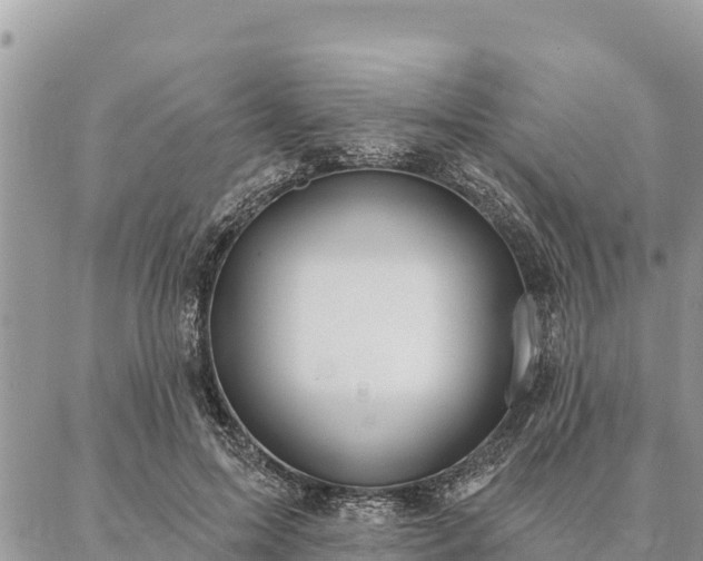 X0000086900599200704231155