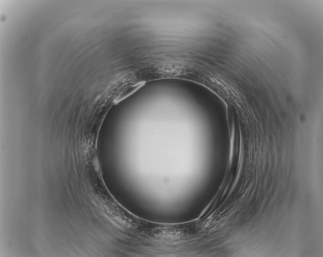 X0000086900601200704231155