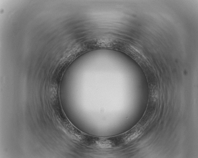 X0000086900603200704231155