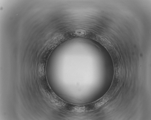 X0000086900606200704231155