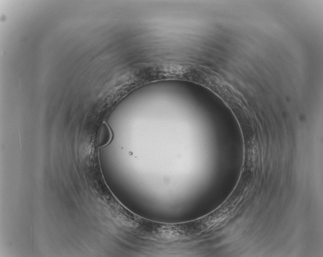 X0000086900608200704231155