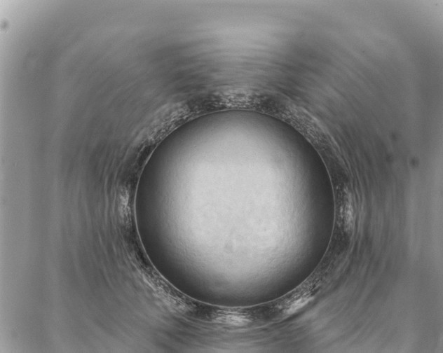 X0000086900610200704231155