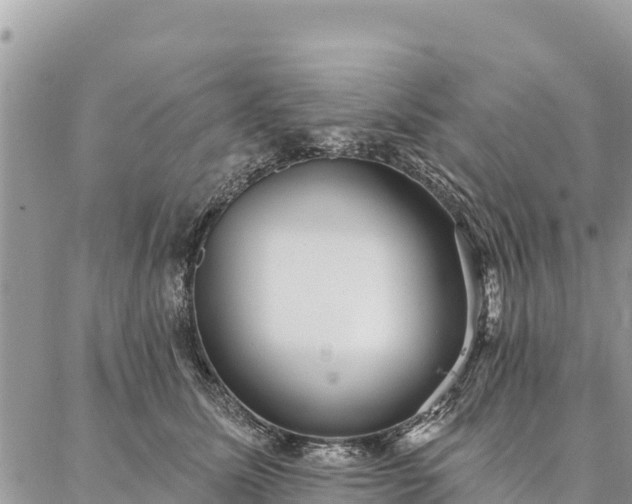 X0000086900611200704231155