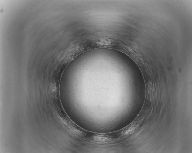 X0000086900614200704231155