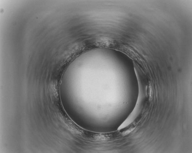 X0000086900616200704231155