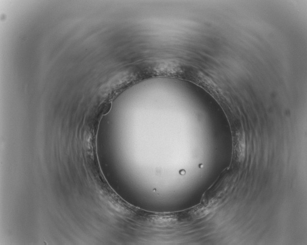 X0000086900619200704231155