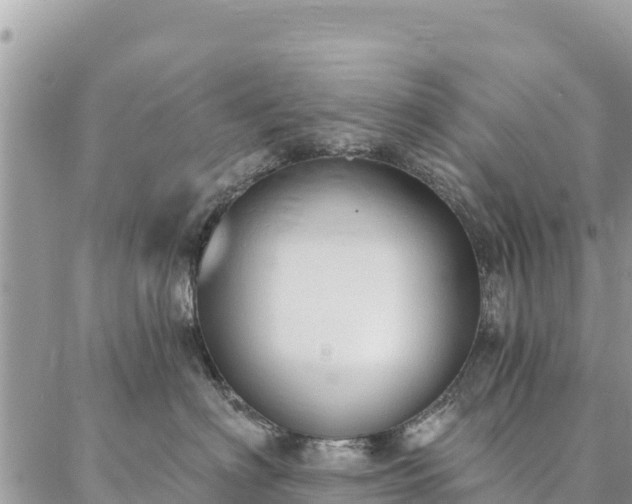 X0000086900622200704231155