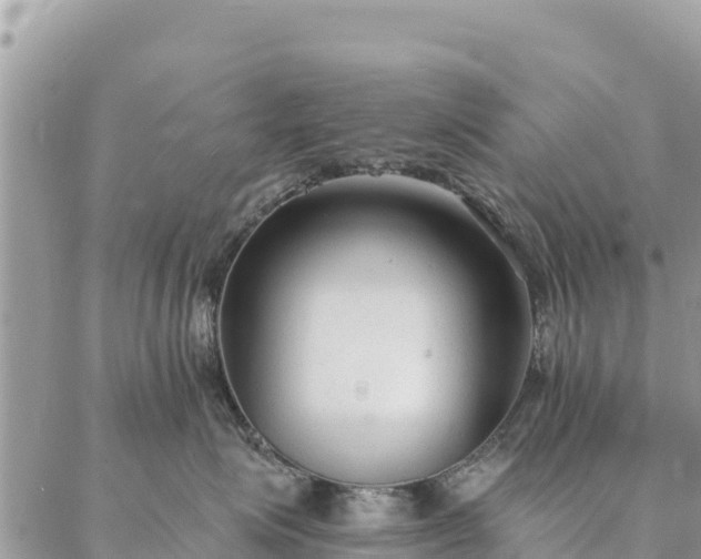 X0000086900623200704231155