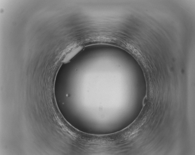 X0000086900625200704231154