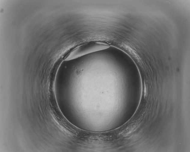 X0000086900627200704231154