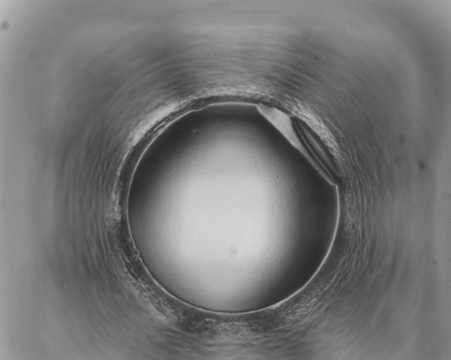 X0000086900628200704231154