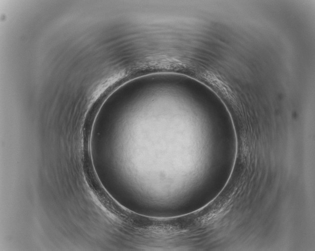 X0000086900630200704231154