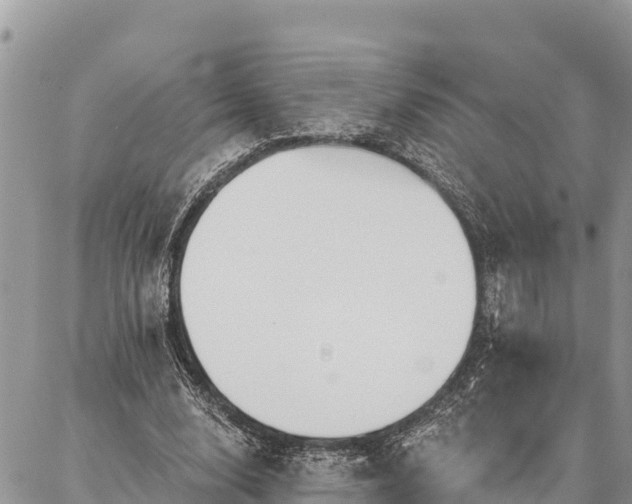 X0000086900632200704231154