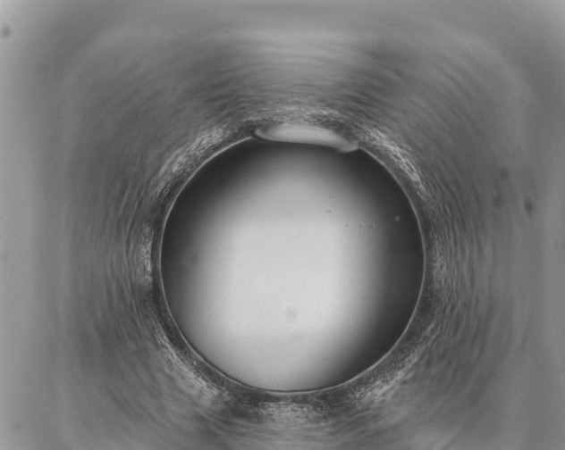 X0000086900633200704231154