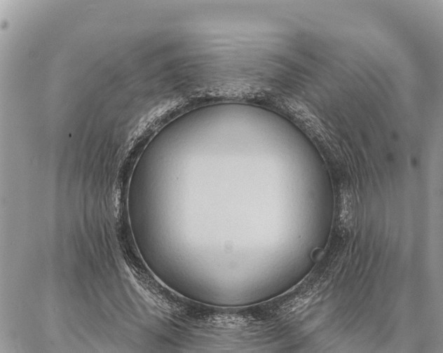 X0000086900636200704231154