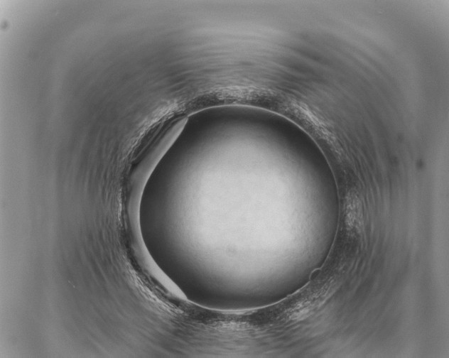 X0000086900637200704231154