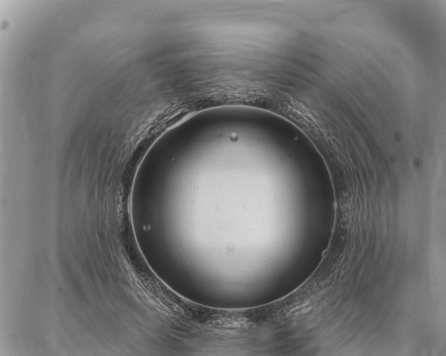 X0000086900642200704231154