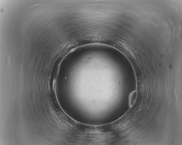 X0000086900643200704231154