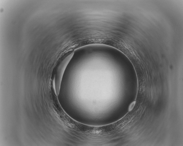 X0000086900647200704231154