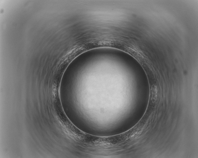 X0000086900648200704231154