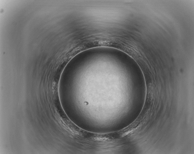 X0000086900650200704231154